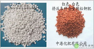 圓顆粒鉀肥 現(xiàn)代農(nóng)業(yè)生產(chǎn)中的重要鉀肥形態(tài)